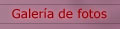 Galer&iacute;a de Fotos
